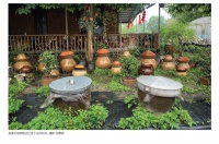 飞机修理师，辞职做“农民”