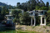 乡村振兴，你愿意当“乡村CEO”吗？