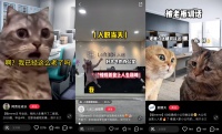 猫meme：古希腊掌管情绪的神