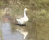 旅游博主造假忏悔录