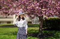 MIT中国博士生提出可验证型神经网络控制器框架，将为控制复杂非线性系统提供全新解决方案