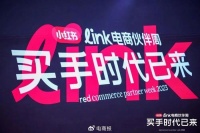 小红书又出现一波赚大钱机会