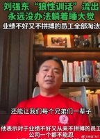 不被理解的刘强东有多苦：容纳54万人就业，京东不能倒下