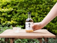 梅见拉着江小白走