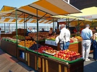 烧光13亿，钟薛高老板卖红薯还债