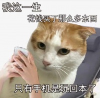 A17芯片的同级对手包括高通骁龙8Gen 3、联发科天玑9300+，换言之…