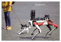 仅靠行业自律无法解决多重风险