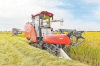 5G+畅通乡村“致富路”