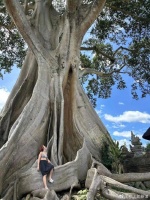 裸辞去东南亚，我沦为了“数字牛马”