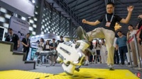 “一脚踹飞”后展现实力 国产机器人在世界人工智能大会展台大放异彩