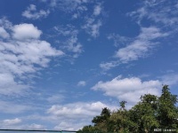 鲁花在直播间霸气的对运输油混装进行撇清，就已经赢麻了