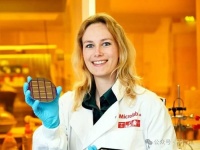 荷兰研究人员开发出新技术，通过AI芯片的片上训练来降低功耗