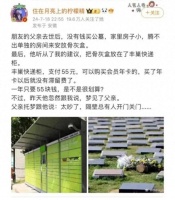 丰巢回应骨灰盒放一年只要55块钱，网友称丰巢更有性价比