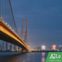 赛博武汉，八年铸芯