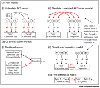聪明的孩子靠遗传还是“鸡娃”？这些双胞胎研究告诉你，事情没那么简单