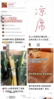 订单暴涨288%、全网热销20万条，中国“降暑神器”席卷全球