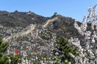 八达岭长城景区用无人机送外卖