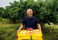 解码拼多多财报：挥别高增长，转入“高质量增长”