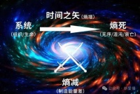 对抗“熵增”：阿里过去这三年