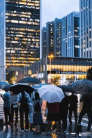 中年破产的失业程序员，转行华强北手机维修工之后