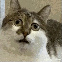 这些擦边的网红医生，终于被封杀了！