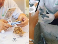 90后小伙用毛发“种”钻石，一颗卖2万，年入数百万