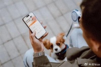 滴滴新服务全国铺开：携宠出行，从此告别尴尬与不便