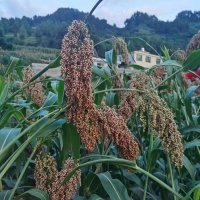 2025年元旦将至，有2个好消息，与往年大不相同，了解一下