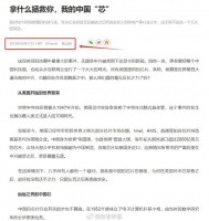 对于芯片竞争，我们真的就毫无反抗之力了？