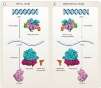 38位顶尖学者联名示警：停止这类研究，它带来“前所未有的风险”
