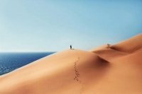 英伟达还能走多远？