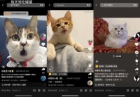 野心勃勃的AI应用们，打不过抖音随手做的几个AI特效