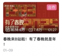 我合理怀疑，春晚节目组混进了 B 站的人