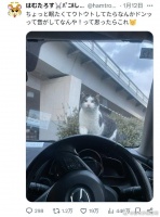 开着车，正当我有点犯困的时候，突然听到了咚的一声…