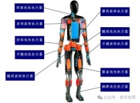 2025-2031年人形机器人执行器行业市场调研及发展趋势预测报告