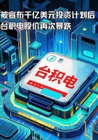 被宣布千亿美元投资计划后，台积电股价再次暴跌