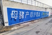 大模型C端争夺战：巨头下乡“刷墙”，谁能造出下一个“超级应用”？