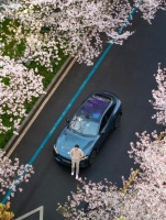 雷军：樱花树下怎么可能站谁都一样