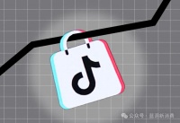 TikTok内部人士：中国区领导层严厉批评了美国电商团队