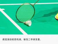涨势超金价，羽毛球回收有多暴利？