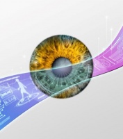 服务盲人 中国团队研发出可穿戴AI增强系统