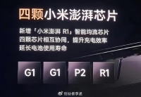 小米做自研芯片能“成功”吗？