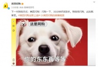 美团闪购配文“你的东东再等等”，京东：不打口水仗，外卖订单量今天将超500万