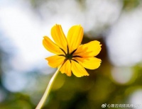 Deepseek的引领下，人类正在以新的方式倒退！不容忽视