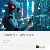 人形机器人，最重要的还是“脑子”