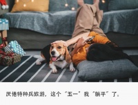 年轻人“躺平”过五一：宅家睡觉、寺庙看书、公园晒太阳