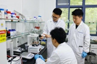 混凝土也能用来发电了！东南大学发布最新科研成果