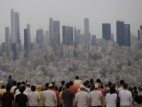 实在太惨烈了…