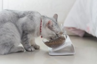 57岁山东老板，创业搞出230亿身家