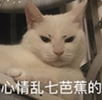 音乐播放优化版，界面美化 + 歌单自由太绝了!